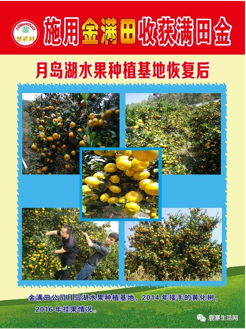 是什么讓這個(gè)基地碩果累累？鹿寨柑橘大咖現(xiàn)場(chǎng)授課，誠(chéng)邀您來(lái)參加